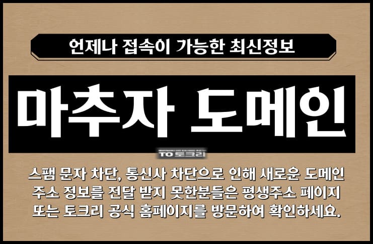 마추자 도메인