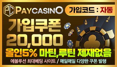 페이카지노(PAY CASINO)